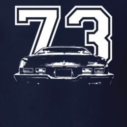 1973 Chevy Nova Faded Look Rear View Year Dark Shirt