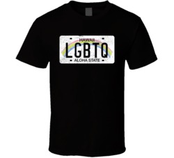 Hawaii Lgbtq State License Plate Worn Look T Shirt T Shirt