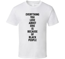 Erie Everything You Love About Because Of Black People T Shirt