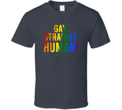 Gay Straight Human T Shirt