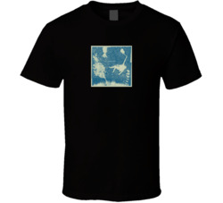 Iron And Wine Light Verse T Shirt
