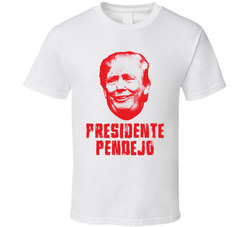 Pendejo Stupid President No Kings Anti Fascist Protest T Shirt