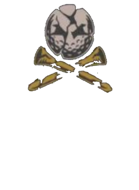 https://s3.us-west-1.wasabisys.com/ecart-content/countriestshirts.com/overlays/400/767/40076761.png img