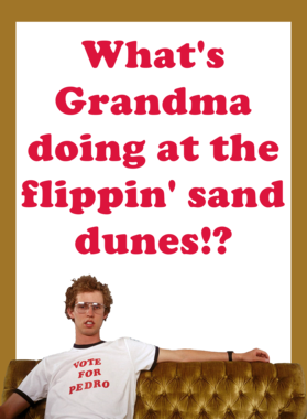 napoleon dynamite grandma shirt