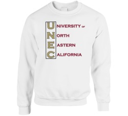 University Of North Eastern California Fictional College Undeclared Mo