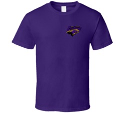 New York Cityhawks Arena Football League Chest Emblem Team Fan Logo T New York Cityhawks Arena Football League Chest Emblem Team Fan Logo T