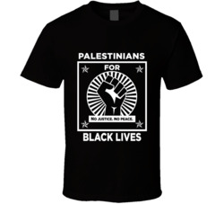 Palestinians For Black Lives Black Power Fist Social Injustice Awarene