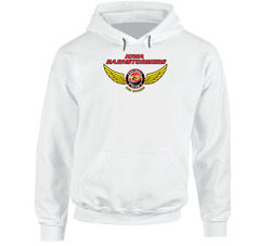 Iowa Barnstormers Arena Football League Team Sports Fan Logo Hoodie Iowa Barnstormers Arena Football League Team Sports Fan Logo Hoodie