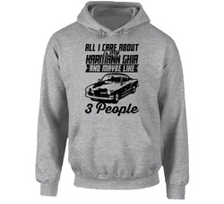 Karmann Ghia All I Care About Is Maybe 3 People Worn Look Hoodie Karmann Ghia All I Care About Is Maybe 3 People Worn Look Hoodie