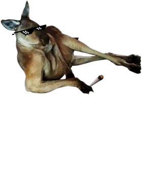 overlay
