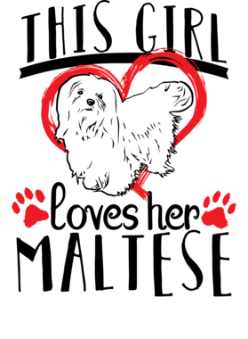 https://s3.us-west-1.wasabisys.com/ecart-content/dessertcravingtees.com/overlays/338/538/33853813.png img