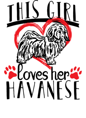 https://s3.us-west-1.wasabisys.com/ecart-content/dessertcravingtees.com/overlays/338/538/33853824.png img
