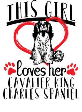 https://s3.us-west-1.wasabisys.com/ecart-content/dessertcravingtees.com/overlays/338/538/33853836.png img