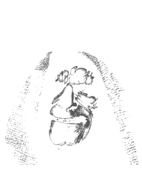 https://s3.us-west-1.wasabisys.com/ecart-content/dessertcravingtees.com/overlays/371/791/37179118.png img