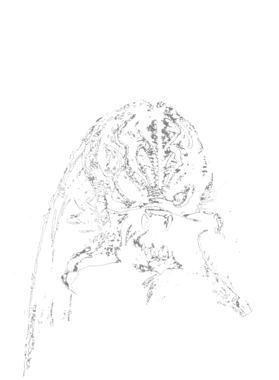 https://s3.us-west-1.wasabisys.com/ecart-content/dessertcravingtees.com/overlays/371/791/37179119.png img