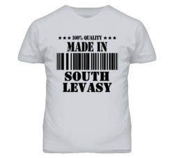 South Levasy Missouri Made In Born Sport Grey T Shirt