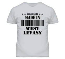 West Levasy Missouri Made In Born Sport Grey T Shirt