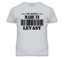 Levasy Missouri Made In Born Sport Grey T Shirt