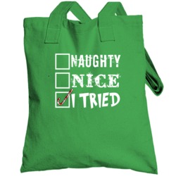 Naughty Nice I Tried Candy Cane Funny Santa's Check List Christmas Gif