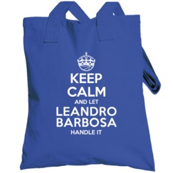 Leandro Barbosa Keep Calm Let Player Handle It Golden State Basketball