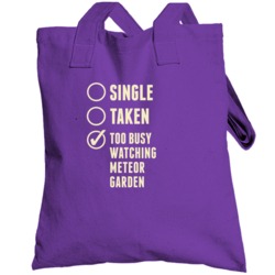 Single Taken Watching Meteor Garden Totebag
