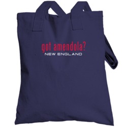 Got Danny Amendola New England Football Player Funny Fan Totebag