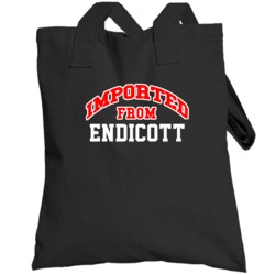 Endicott New York Imported From Cool Funny City Totebag