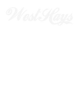 https://s3.us-west-1.wasabisys.com/ecart-content/dotkansas.com/overlays/220/829/2208296.png img