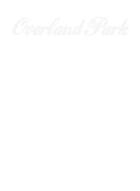 https://s3.us-west-1.wasabisys.com/ecart-content/dotkansas.com/overlays/220/882/2208821.png img