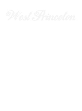 https://s3.us-west-1.wasabisys.com/ecart-content/dotkansas.com/overlays/220/892/2208926.png img