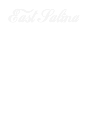 https://s3.us-west-1.wasabisys.com/ecart-content/dotkansas.com/overlays/220/903/2209038.png img