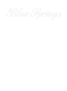 https://s3.us-west-1.wasabisys.com/ecart-content/dotkansas.com/overlays/220/912/2209120.png img