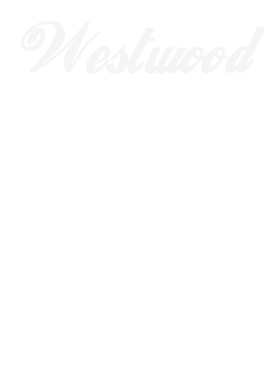 https://s3.us-west-1.wasabisys.com/ecart-content/dotkansas.com/overlays/220/961/2209618.png img