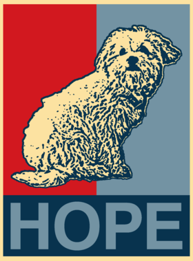 https://s3.us-west-1.wasabisys.com/ecart-content/dotkansas.com/overlays/366/320/36632036.png img