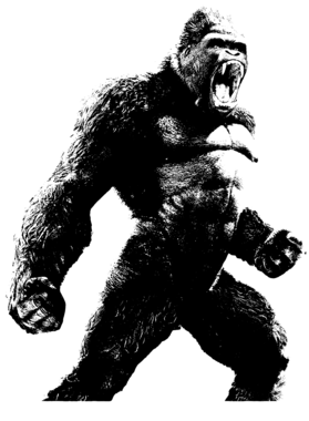 https://s3.us-west-1.wasabisys.com/ecart-content/dotkansas.com/overlays/366/533/36653374.png img