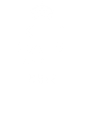 https://s3.us-west-1.wasabisys.com/ecart-content/dotkansas.com/overlays/367/040/36704083.png img