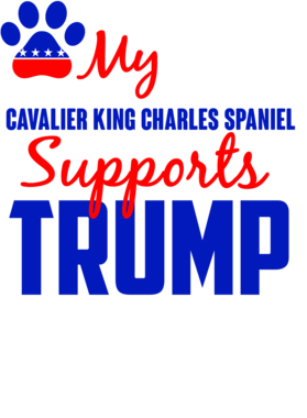https://s3.us-west-1.wasabisys.com/ecart-content/dotkansas.com/overlays/367/327/36732753.png img