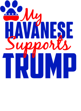https://s3.us-west-1.wasabisys.com/ecart-content/dotkansas.com/overlays/367/335/36733559.png img