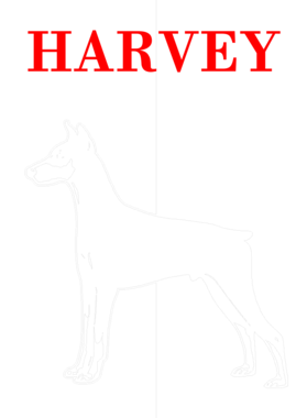 https://s3.us-west-1.wasabisys.com/ecart-content/dotkansas.com/overlays/367/575/36757585.png img