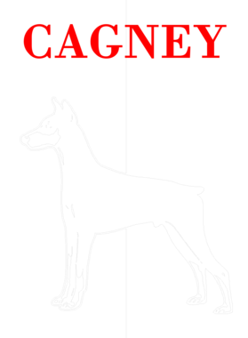 https://s3.us-west-1.wasabisys.com/ecart-content/dotkansas.com/overlays/367/579/36757935.png img