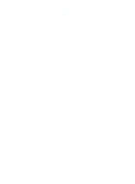 https://s3.us-west-1.wasabisys.com/ecart-content/dotkansas.com/overlays/367/786/36778606.png img