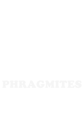https://s3.us-west-1.wasabisys.com/ecart-content/dotkansas.com/overlays/367/886/36788610.png img