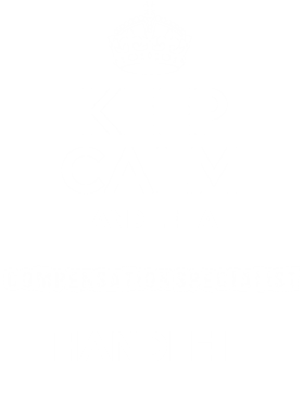 https://s3.us-west-1.wasabisys.com/ecart-content/dotkansas.com/overlays/367/902/36790264.png img