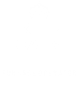https://s3.us-west-1.wasabisys.com/ecart-content/dotkansas.com/overlays/367/904/36790436.png img