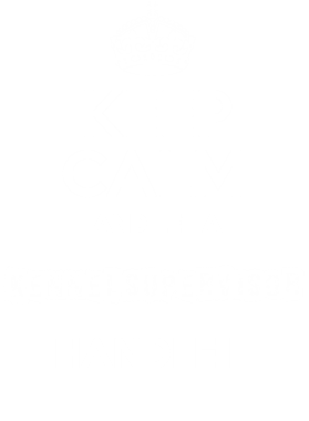 https://s3.us-west-1.wasabisys.com/ecart-content/dotkansas.com/overlays/367/904/36790497.png img