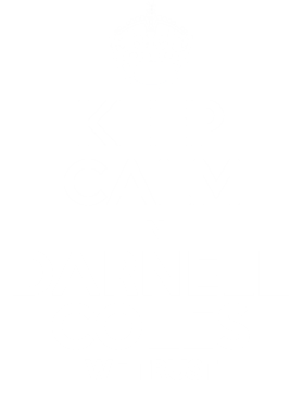 https://s3.us-west-1.wasabisys.com/ecart-content/dotkansas.com/overlays/368/029/36802973.png img
