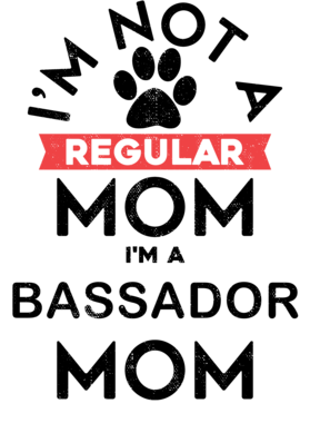 https://s3.us-west-1.wasabisys.com/ecart-content/dotkansas.com/overlays/368/648/36864887.png img