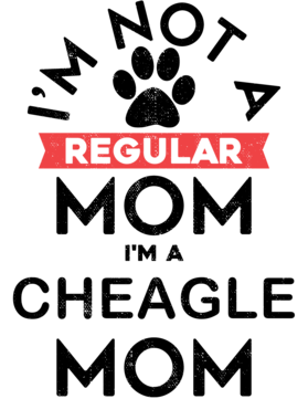 https://s3.us-west-1.wasabisys.com/ecart-content/dotkansas.com/overlays/368/651/36865173.png img