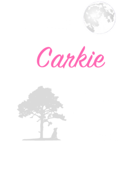 https://s3.us-west-1.wasabisys.com/ecart-content/dotkansas.com/overlays/369/364/36936486.png img