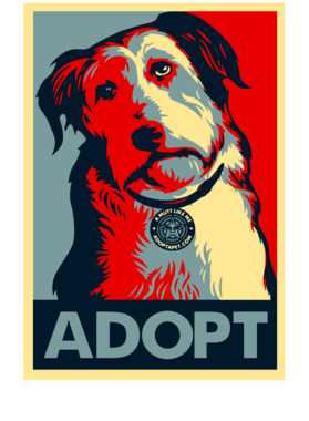 https://s3.us-west-1.wasabisys.com/ecart-content/dotkansas.com/overlays/369/668/36966891.png img